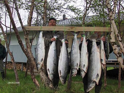 kovatpuhukoon.jpg